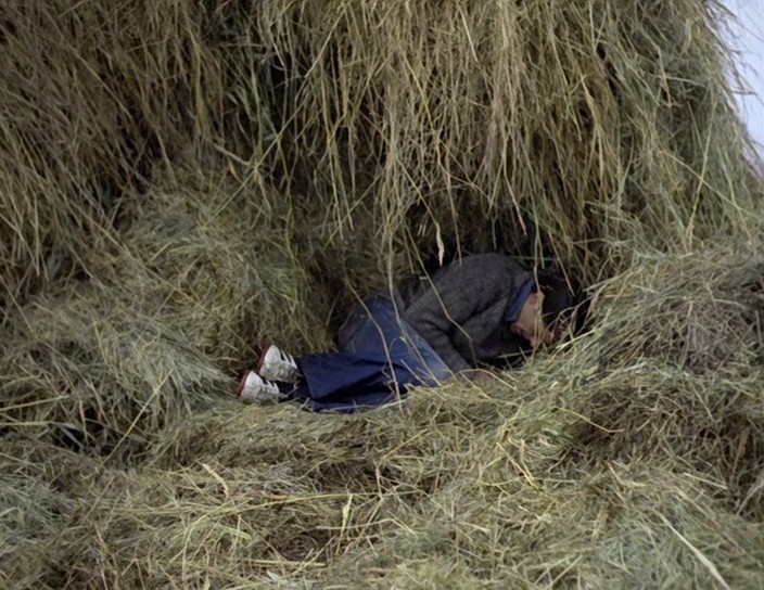 Я вырывал в сене глубокую нору залезал. Спать в стоге сена. Ночлег в стоге сена. Спрятался в сено. Спать на сене.